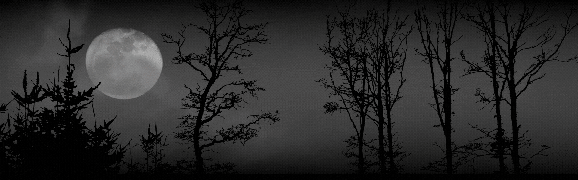 Halloween on Cape Cod & Beyond